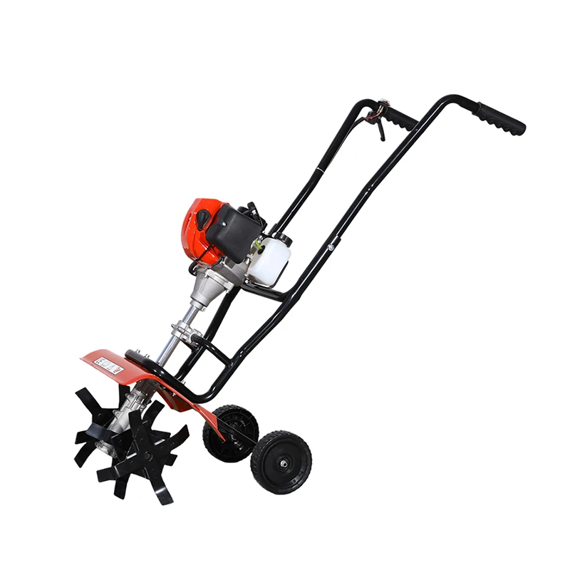 C-T206